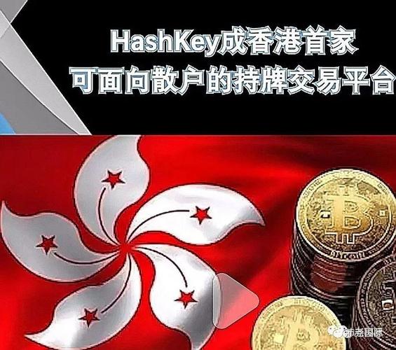 香港炒币真相：散户亏光还是富人狂欢？